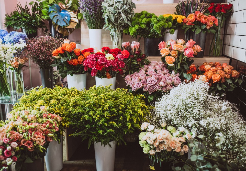 ���� ����� �������� ����� �� ��� ������