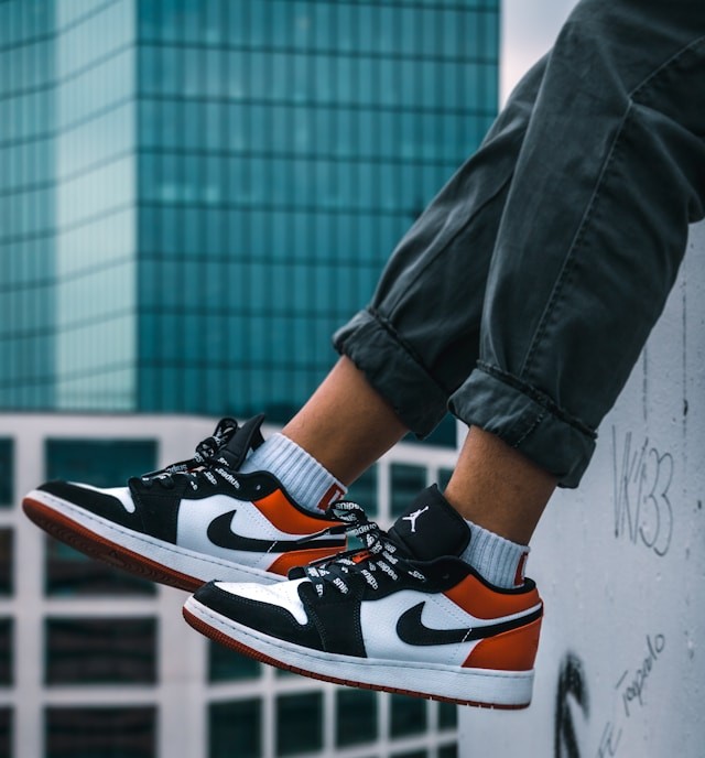 ������ ���� ������ ���� ����