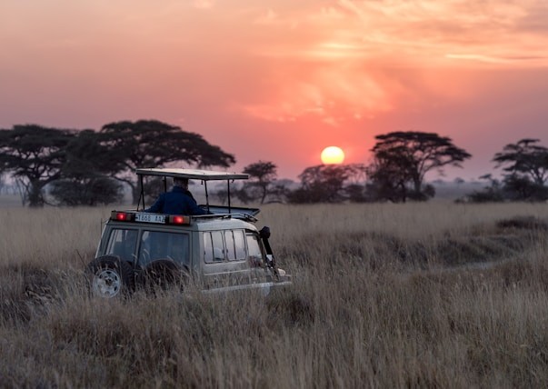 ��� ������ ��� ���� ����������� ������ ��� ����� ��?