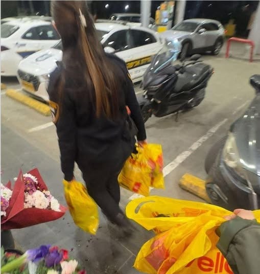 ���� ���� ���� ����� ���� ���� ������ �����