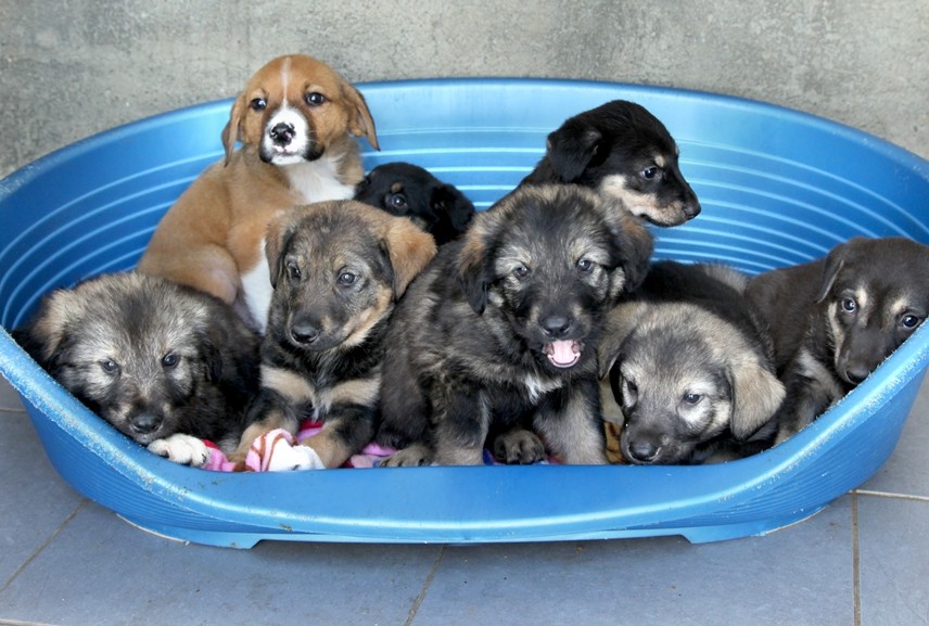 ���� ����� ������ ������ ����� ������� �����