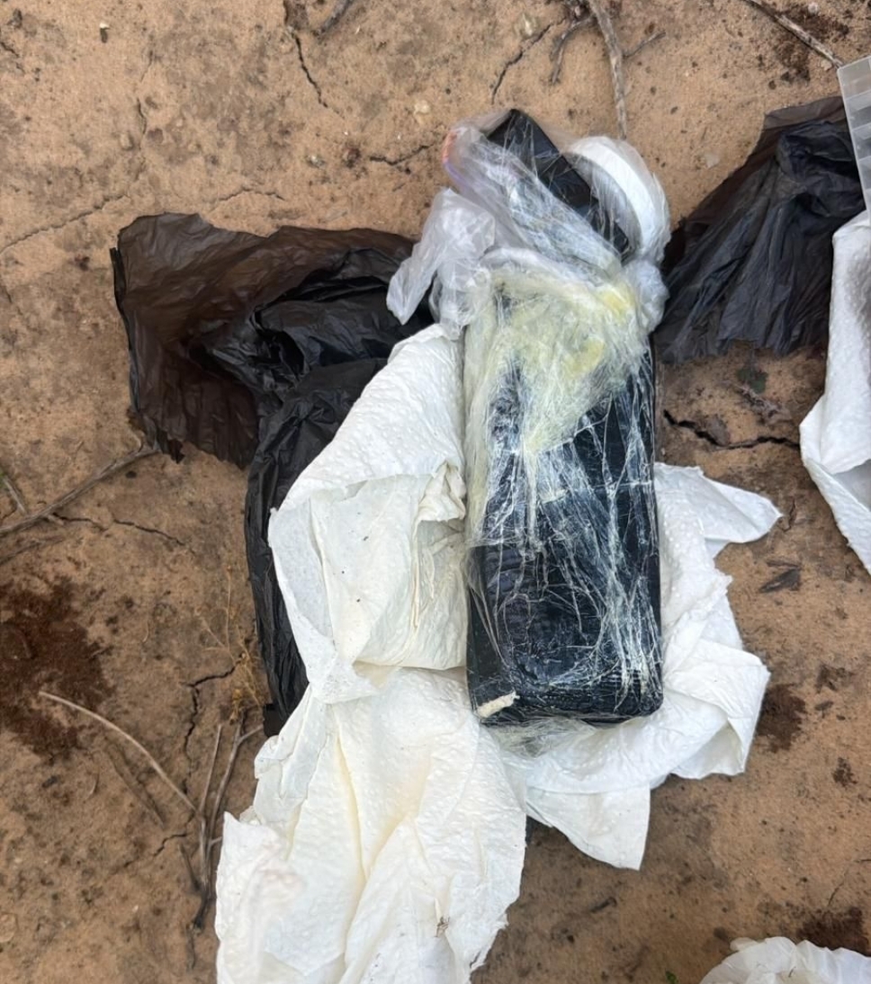 ���� ����� ����� �����