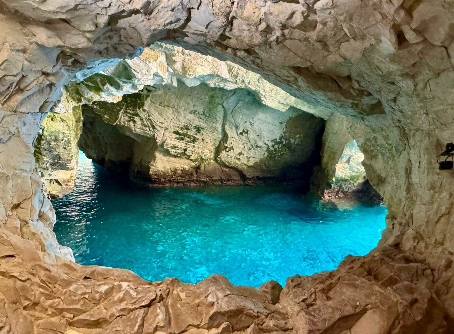 ����� ���� �����