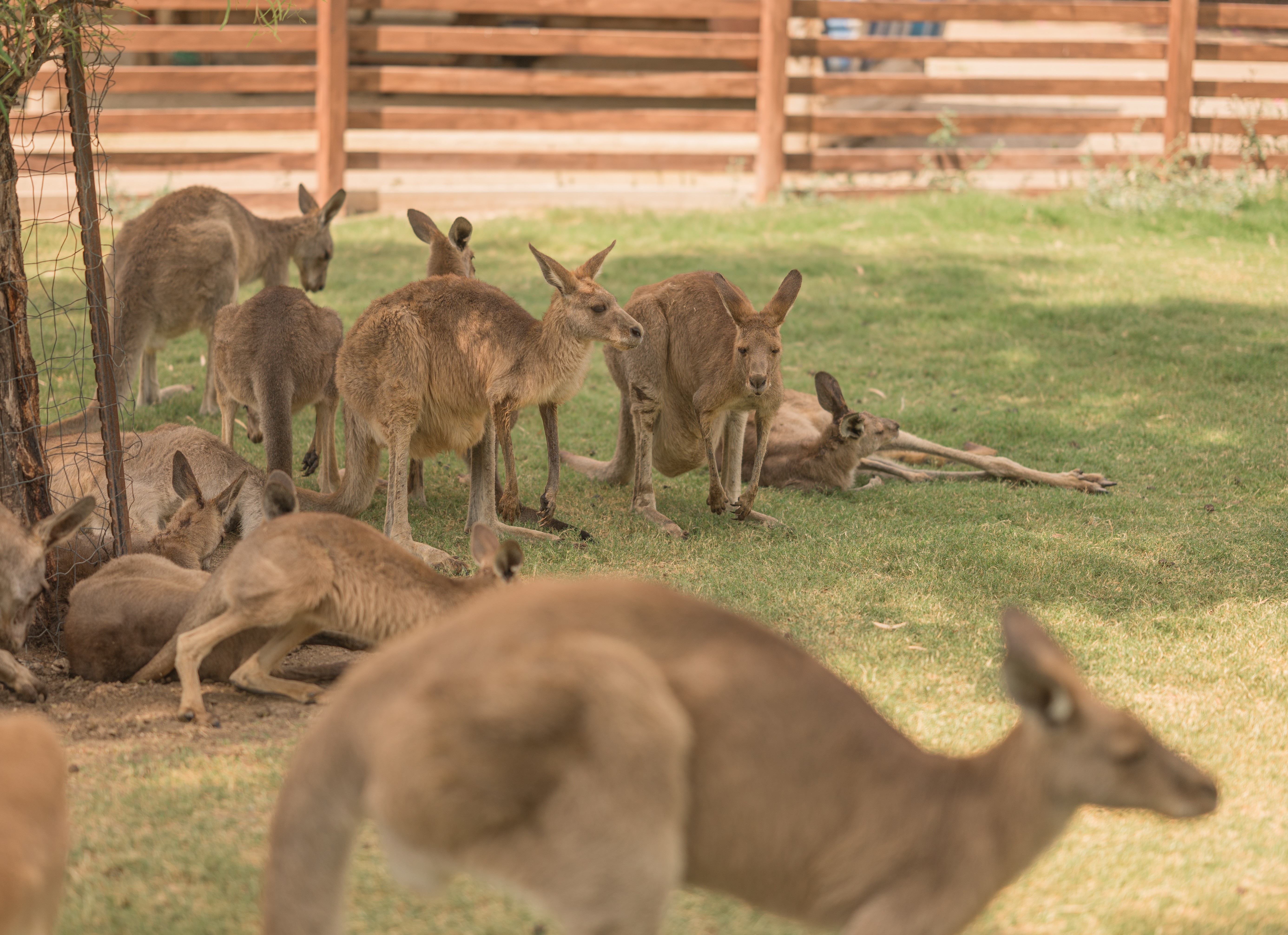 ������ ���� �� ���� ��� ����